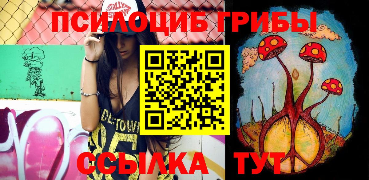 Луга  Галлюциногенные грибы Psilocybe  Вход с VPN 